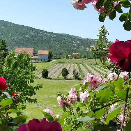 Villa Poolincluded Villa Neoric