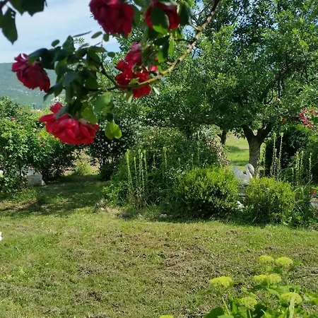 Poolincluded Villa Neoric Muc
